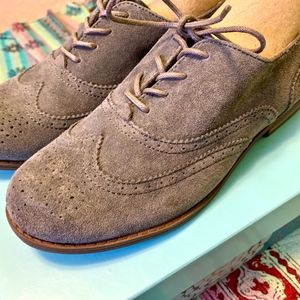 Suede Oxford